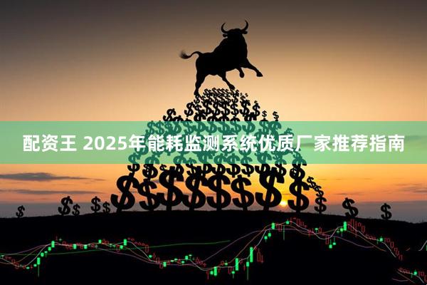 配资王 2025年能耗监测系统优质厂家推荐指南