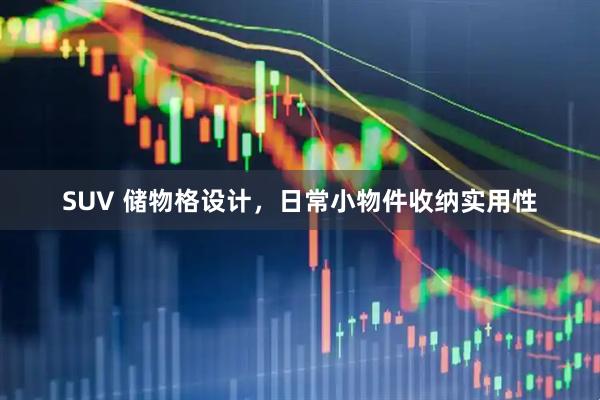 SUV 储物格设计，日常小物件收纳实用性
